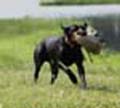 Payton training